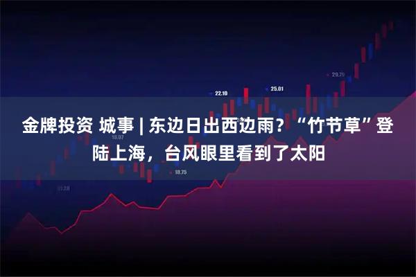 金牌投资 城事 | 东边日出西边雨？“竹节草”登陆上海，台风眼里看到了太阳