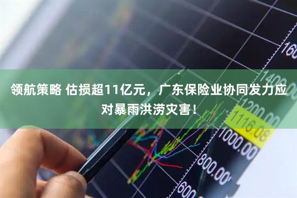 领航策略 估损超11亿元，广东保险业协同发力应对暴雨洪涝灾害！