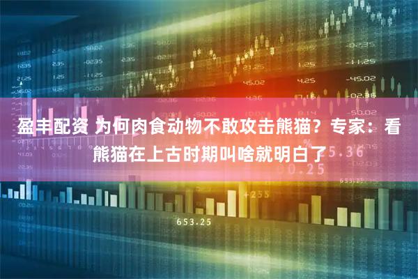 盈丰配资 为何肉食动物不敢攻击熊猫？专家：看熊猫在上古时期叫啥就明白了