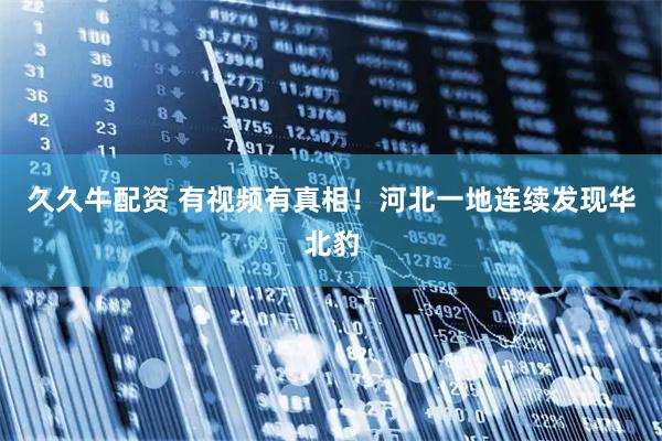 久久牛配资 有视频有真相！河北一地连续发现华北豹