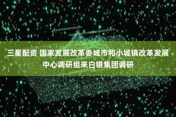 三星配资 国家发展改革委城市和小城镇改革发展中心调研组来白银集团调研